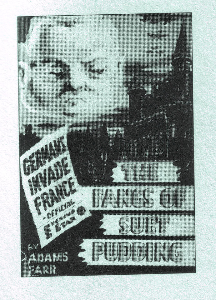 The Further Fangs of Suet Pudding